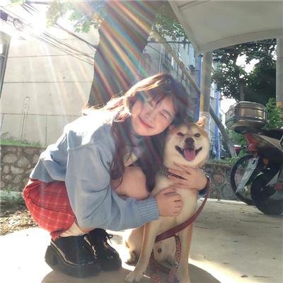 老鼠爱上猫